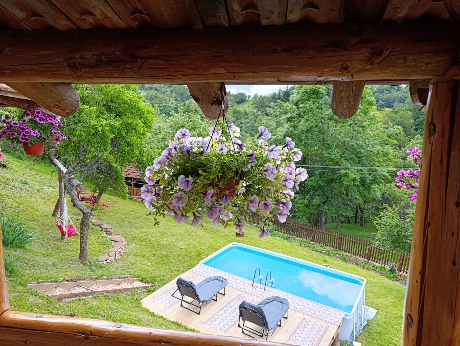 viber_image_2026-06-11_17-21-55-323